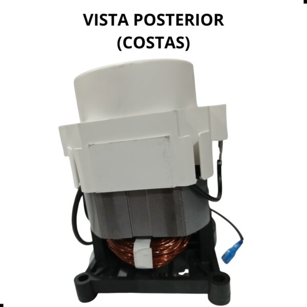 MOTOR ELETRICO 70 bar 220V LAV. DE ALTA PRESSAO LIDER - Imagem 7